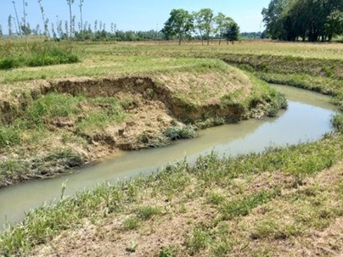 Reprofiled slope with selective vegetation: Uncut aquatic buffer strip → Native shrub stabilization → Upland grass transition.