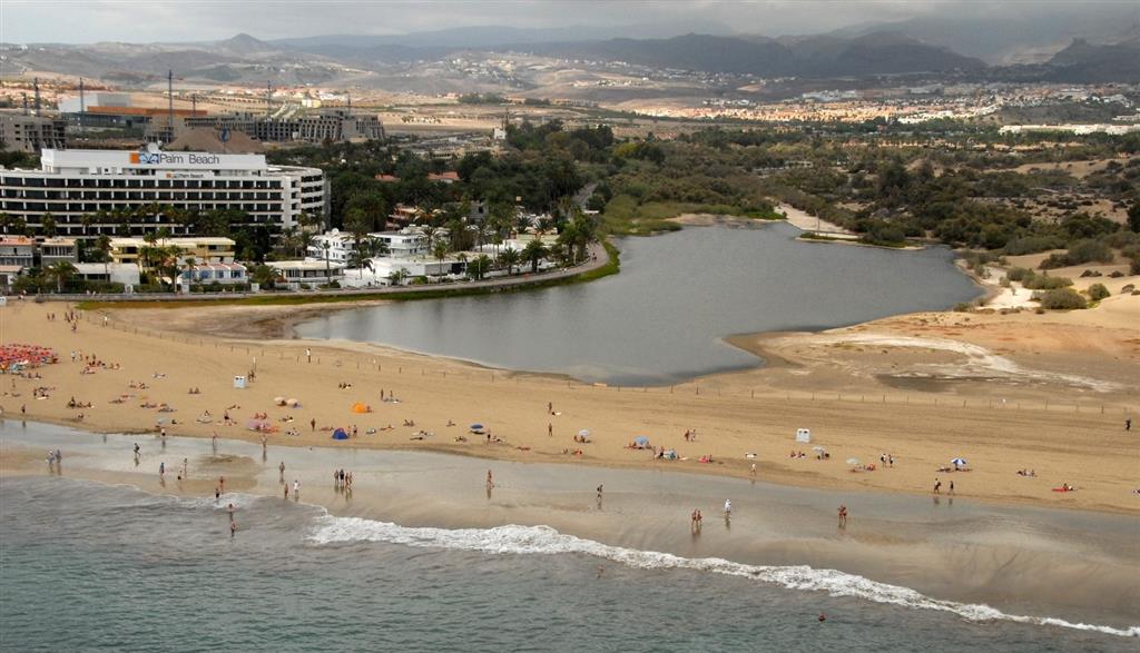 Maspalomas Pond (La Charca), a sensitive coastal wetland adjacent to major tourist developments.